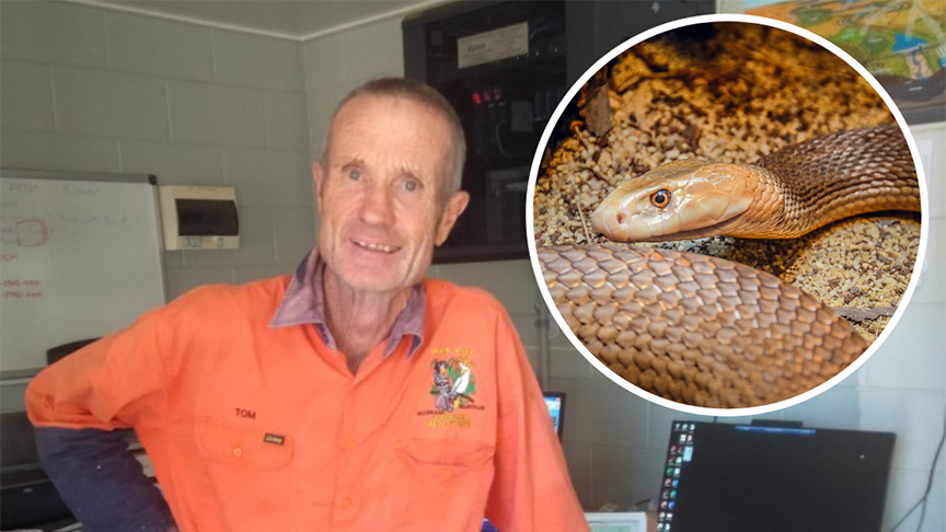 Tom Jones was hospitalised after a bite from a coastal taipan on his farm, near Cooktown.